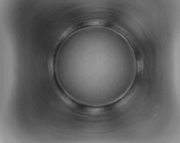 X0000113910349200909241514