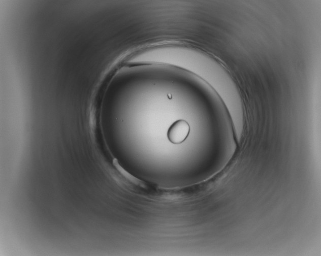 X0000113910350200909241514