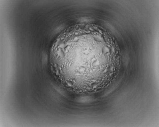 X0000113910357200909241514