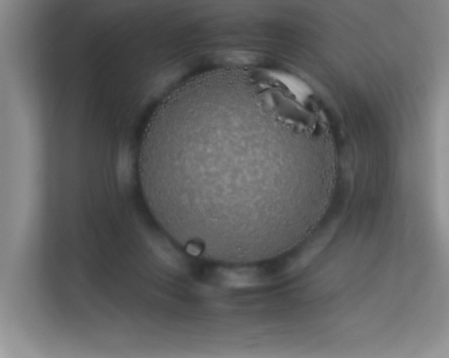 X0000113910359200909241514