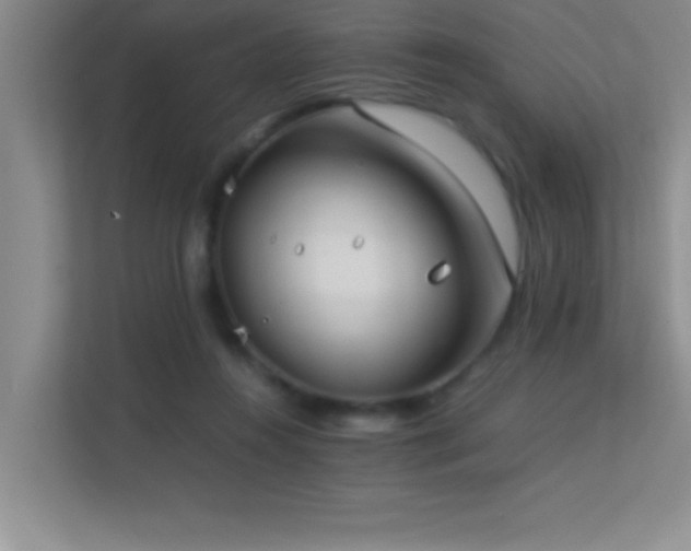X0000113910360200909241514