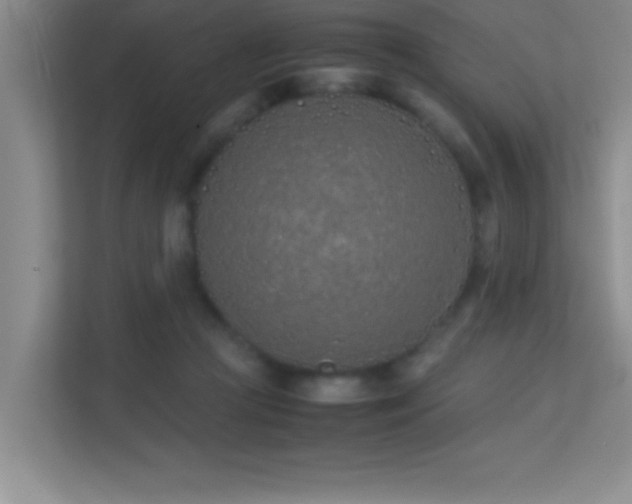 X0000113910361200909241514