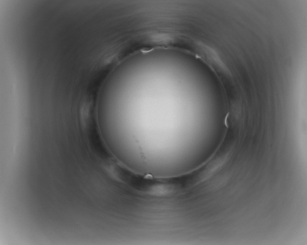 X0000113910364200909241514