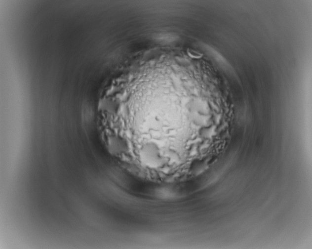 X0000113910365200909241514