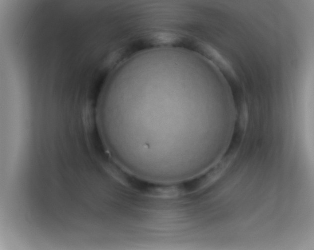 X0000113910366200909241514