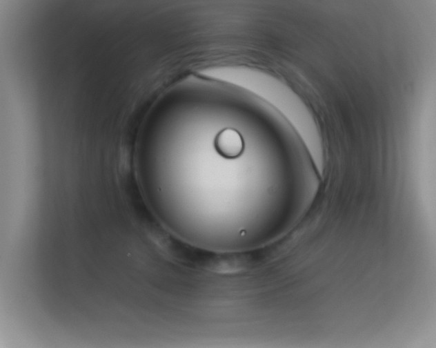 X0000113910368200909241514