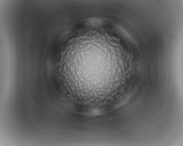 X0000113910371200909241514