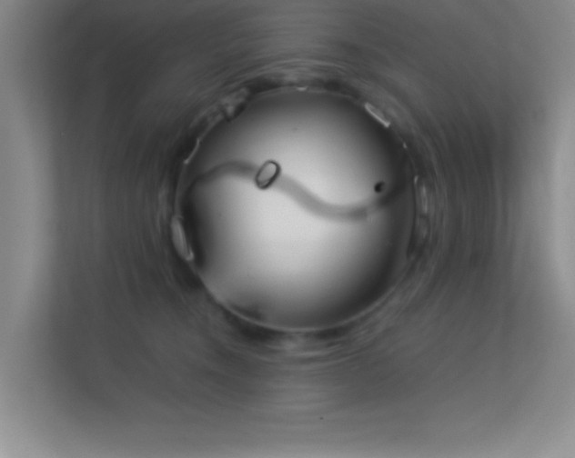 X0000113910372200909241514