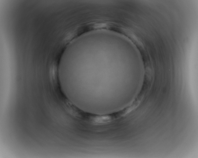 X0000113910375200909241514
