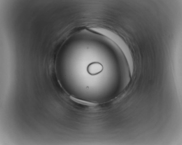 X0000113910376200909241514