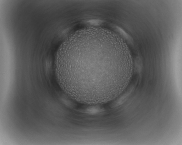 X0000113910377200909241514