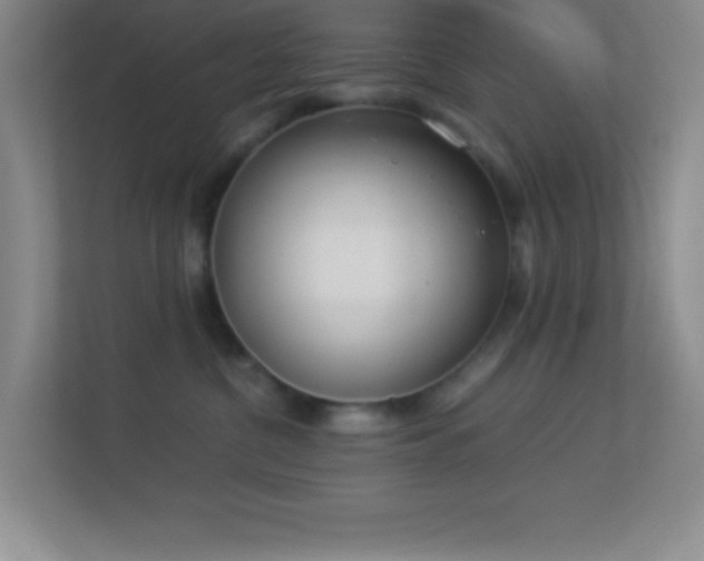 X0000113910380200909241514
