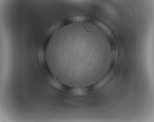 X0000113910381200909241514