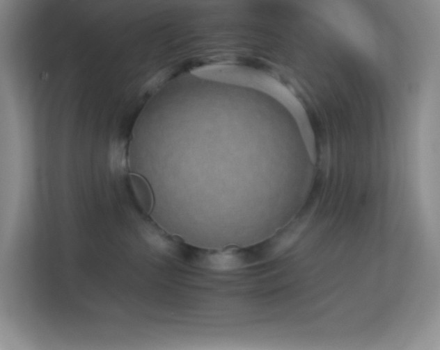 X0000113910383200909241514