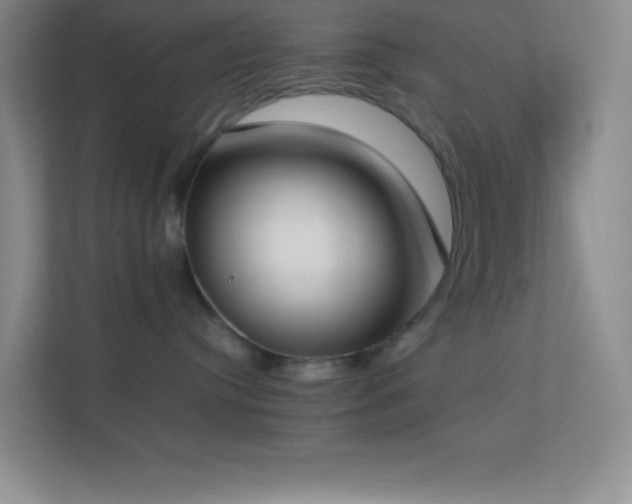 X0000113910384200909241514