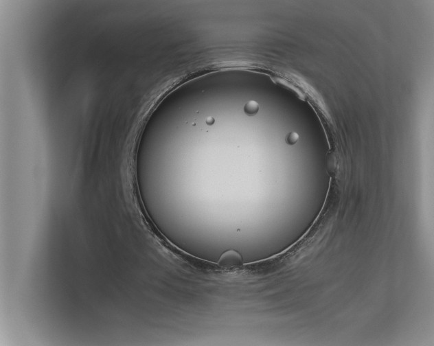 X0000113910385200909241514