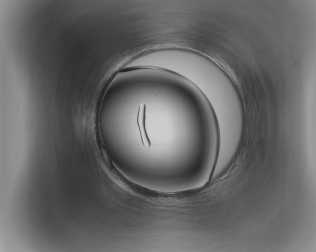 X0000113910389200909241514