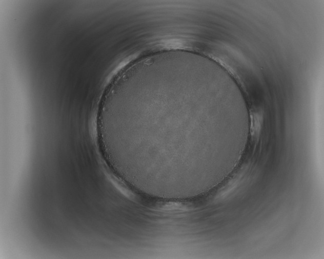 X0000113910390200909241514
