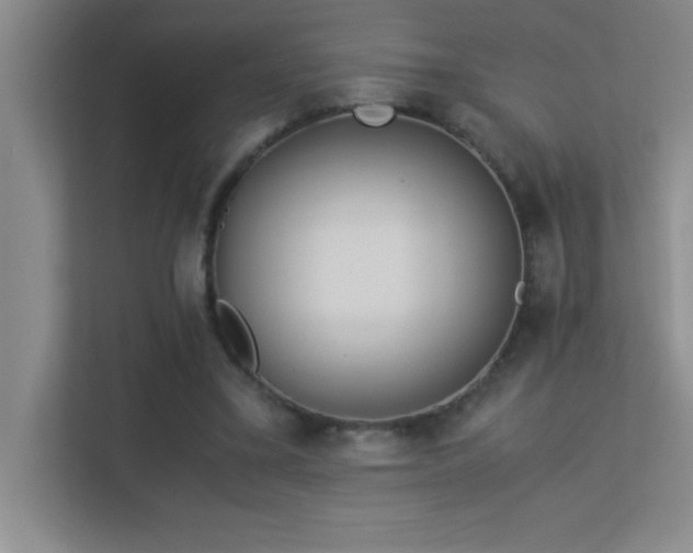 X0000113910395200909241514