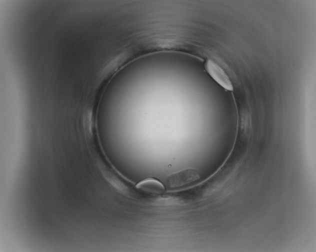 X0000113910397200909241514
