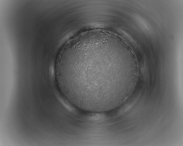 X0000113910398200909241514