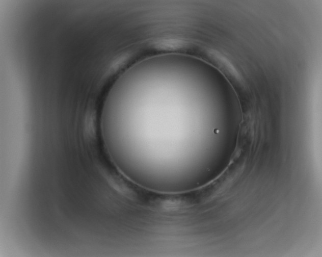 X0000113910400200909241513