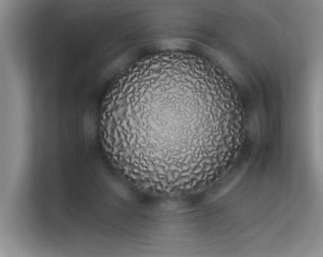 X0000113910402200909241513