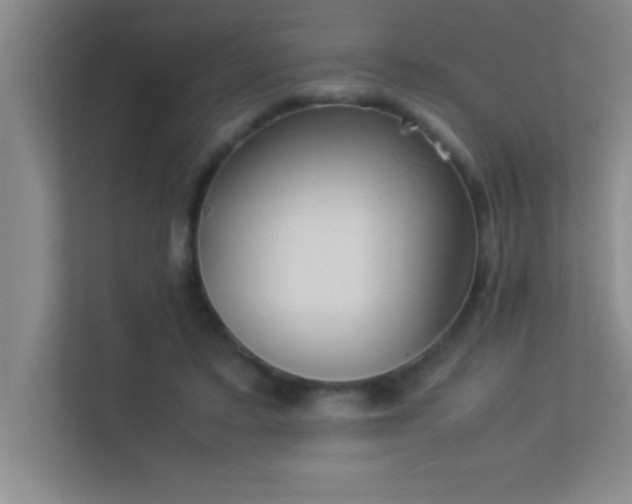 X0000113910403200909241513