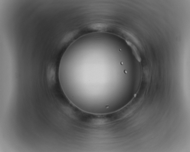 X0000113910404200909241513