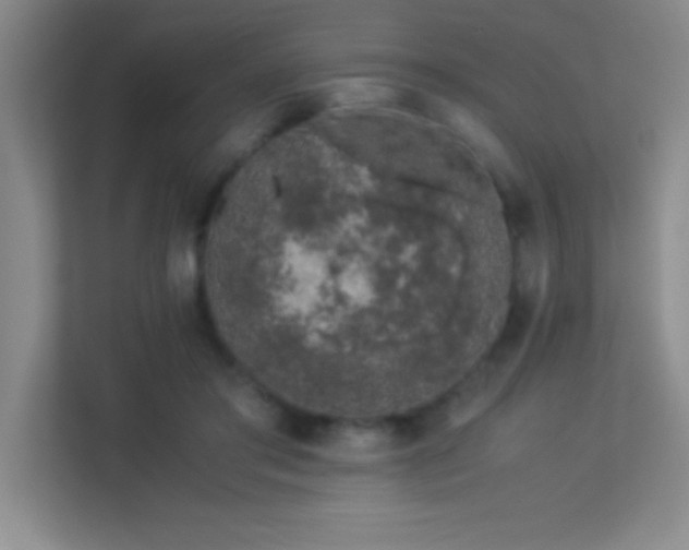 X0000113910405200909241513