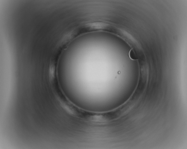 X0000113910406200909241513