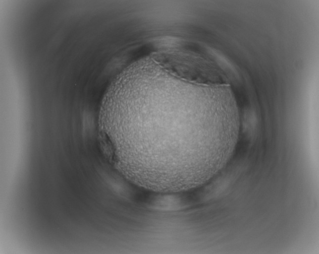 X0000113910409200909241513