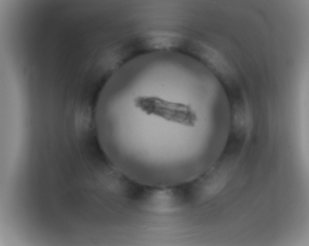 X0000113910411200909241513