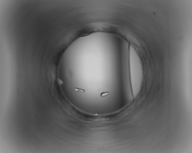 X0000113910413200909241513