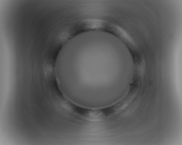 X0000113910415200909241513