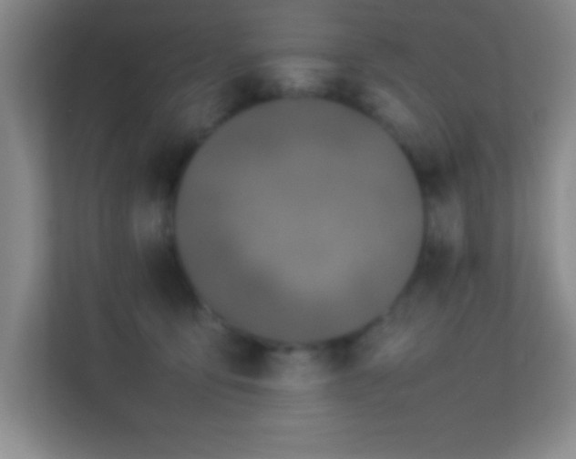 X0000113910419200909241513