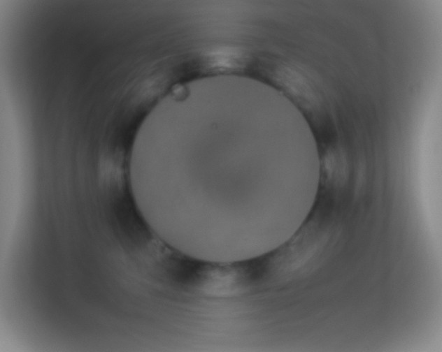 X0000113910423200909241513