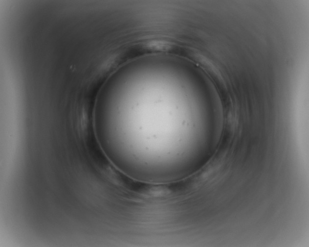 X0000113910424200909241513