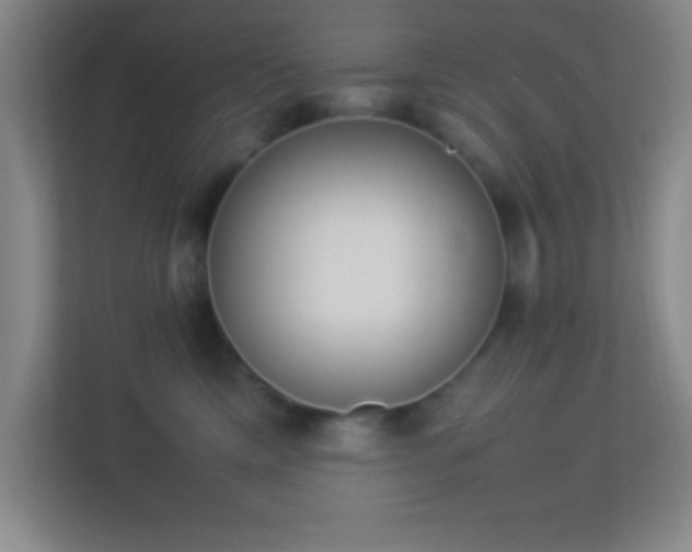 X0000113910425200909241513