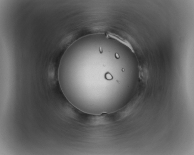 X0000113910428200909241513