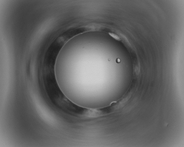X0000113910429200909241513