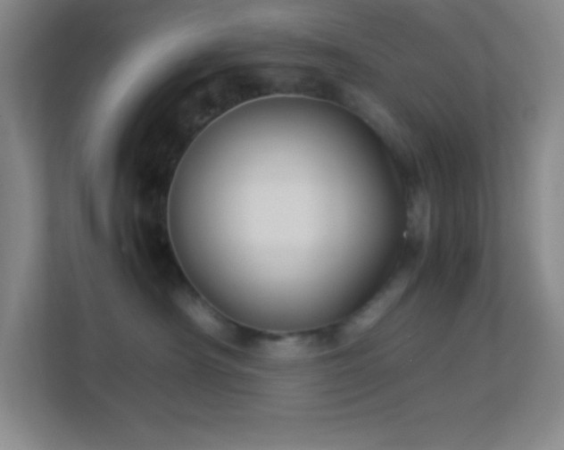 X0000113910430200909241513