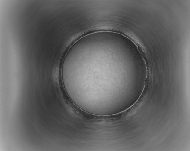 X0000113910434200909241512