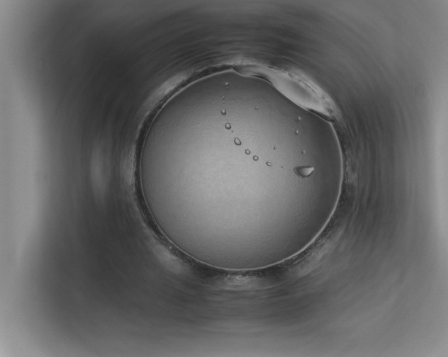 X0000113910437200909241513