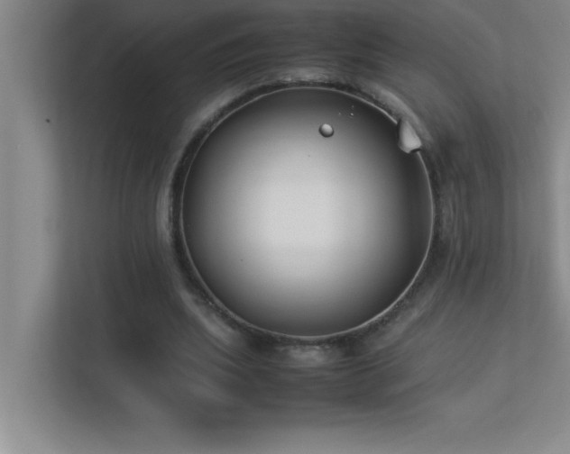 X0000113910439200909241513