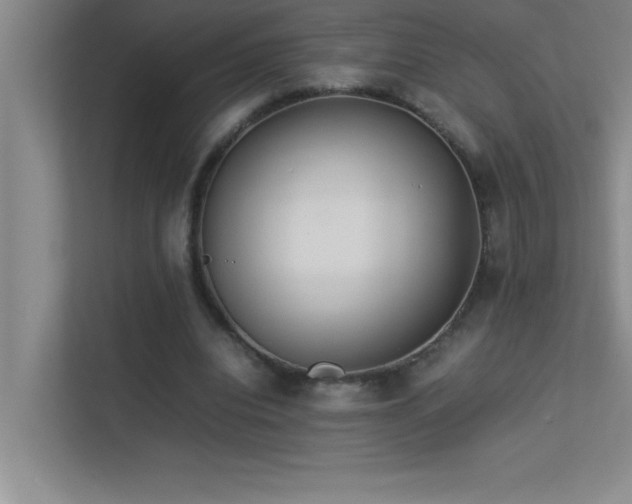X0000113910440200909241513
