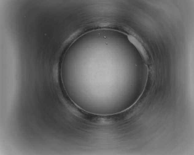 X0000113910442200909241513