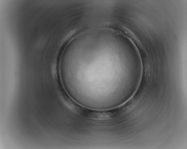 X0000113910443200909241513