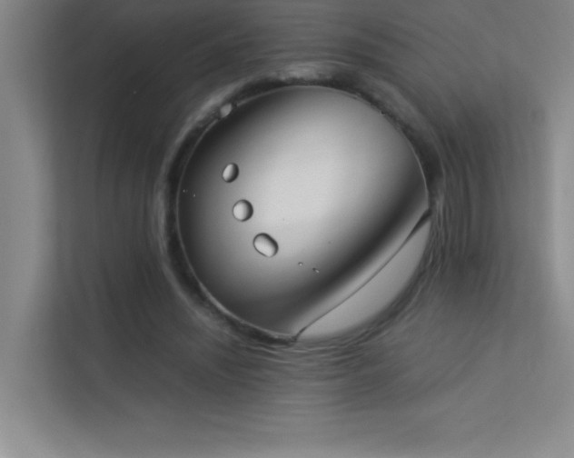 X0000113910444200909241513