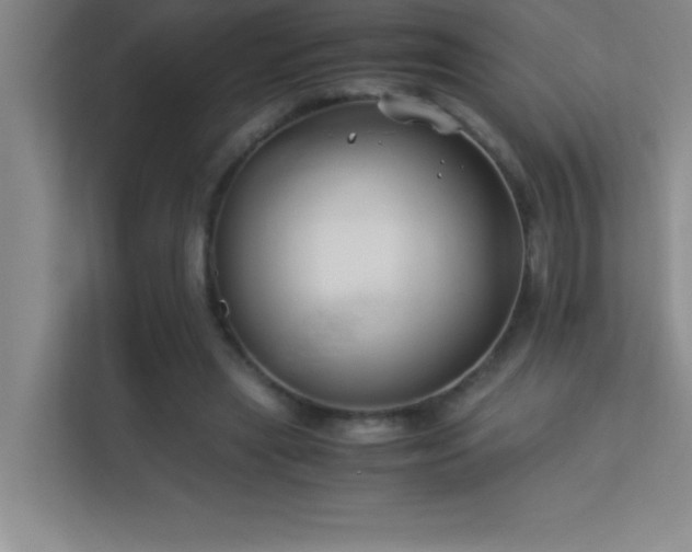 X0000113910445200909241513